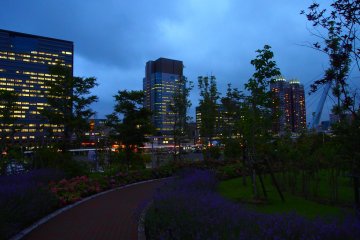 The Odaiba walkways are lined with flowers. The vivid reds and purples of the flowers are still visible in the early evenings.