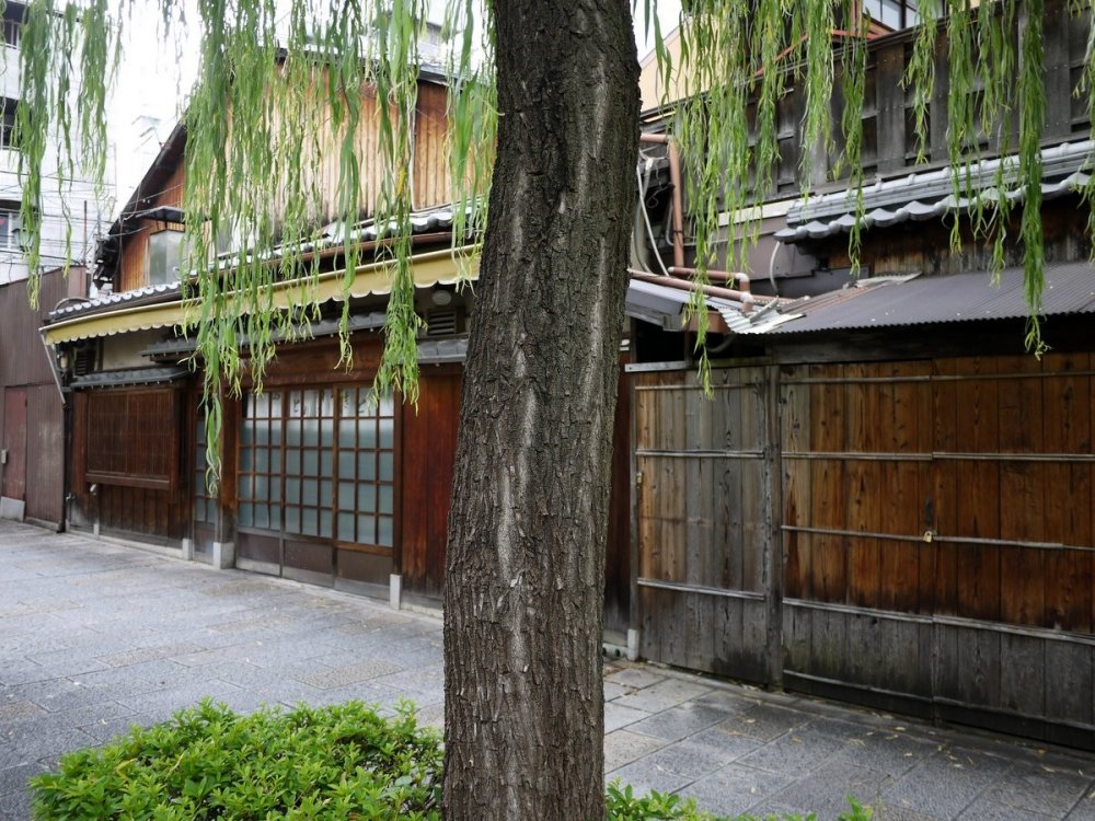 There are many traditional wooden machiya, or townhouses, beside the river