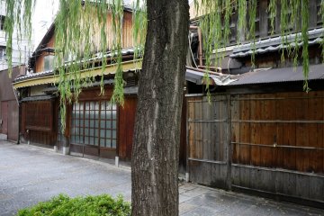 <p>There are many traditional wooden machiya, or townhouses, beside the river</p>