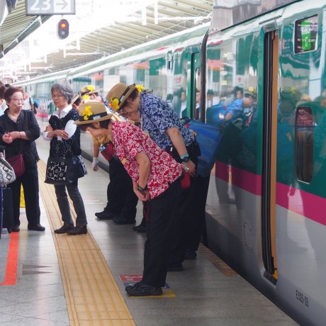 The Shinkansen Experience