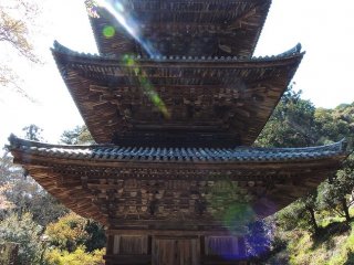 lâu đời nhất ở Nhật Bản và bức tượng của Hoàng tử Shotoku và một linh mục cấp cao của giáo phái Tendai được xem như Bảo vật Quốc gia.
