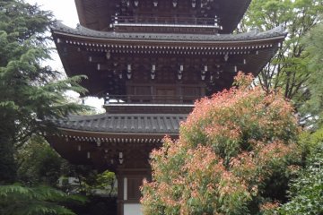 A three-story pagoda on the left quietly stands between groves of trees. It is 4 meters around and 22 meters high.