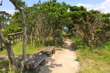 <p>Follow this short pathway to reach Tomyodo Lighthouse</p>