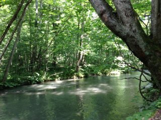 Аомори: все, что вы видите - спокойная зеленая вода, все, что вы слышите - шепот потока, здесь у Оирасэ Кэйрю 
