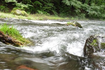 <p>The flow of the stream was unexpectedly&nbsp;strong!</p>