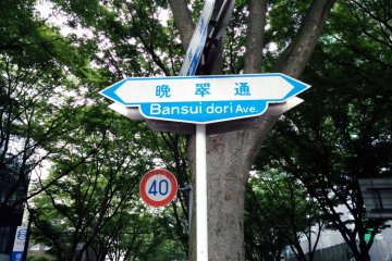 <p>To honor its greatest poet and literary genius, Sendai named the house&#39;s adjacent street after Doi Bansui</p>