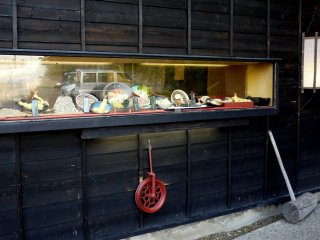 Models of food on the menu in a display window near the entrance
