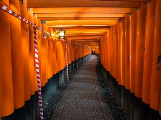Vue de face des torii. Propre et simple