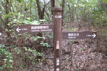 The Nakahechi trail is well signposted