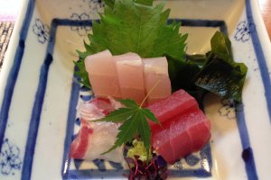 Assorted sashimi elegantly presented on a traditional plate.