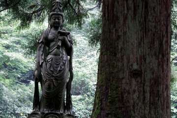 Along the walkway, you&#39;ll find some beautiful statues in the woods