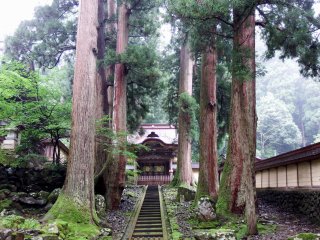 Đây là 'Kara-mon (Cổng Trung Quốc)' nổi tiếng của chùa Eiheiji, thường được sử dụng làm hình ảnh đại diện của ngôi chùa nổi tiếng này