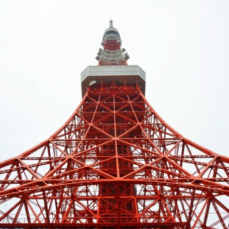 In Love With Tokyo Tower