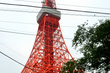 <p>Tokyo Tower with&nbsp;Zojoji Temple</p>