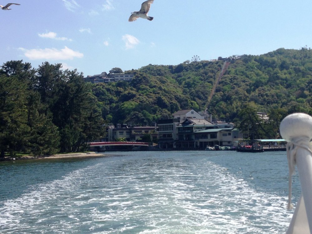 As you leave Amanohashidate you see a few seagulls but will not think anything of it