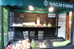 Cửa hàng bán rau củ quả thu hoạch ở trang trại Nagai