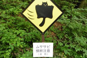 Beware, flying squirrels crossing. Only two of this road sign exist in the world... and they can both be found here!