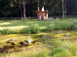 A small cottage behind a moss-filled pond