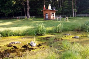 <p>A small cottage behind a moss-filled pond</p>