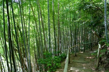 <p>Rai Tei&#39;s bamboo garden is just as beautiful as Hokokuji Temple &amp; Sagano Bamboo Groves</p>