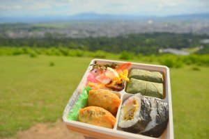 Picnic with a view at&nbsp;Mount Wakakusa