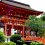 夏の上賀茂神社