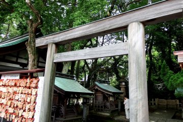 <p>Entrance torii gate to &#39;Kusha-no-miya (Nine shrines)&#39;</p>