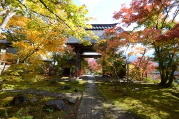Viewing the shrine during beautiful autumn colors