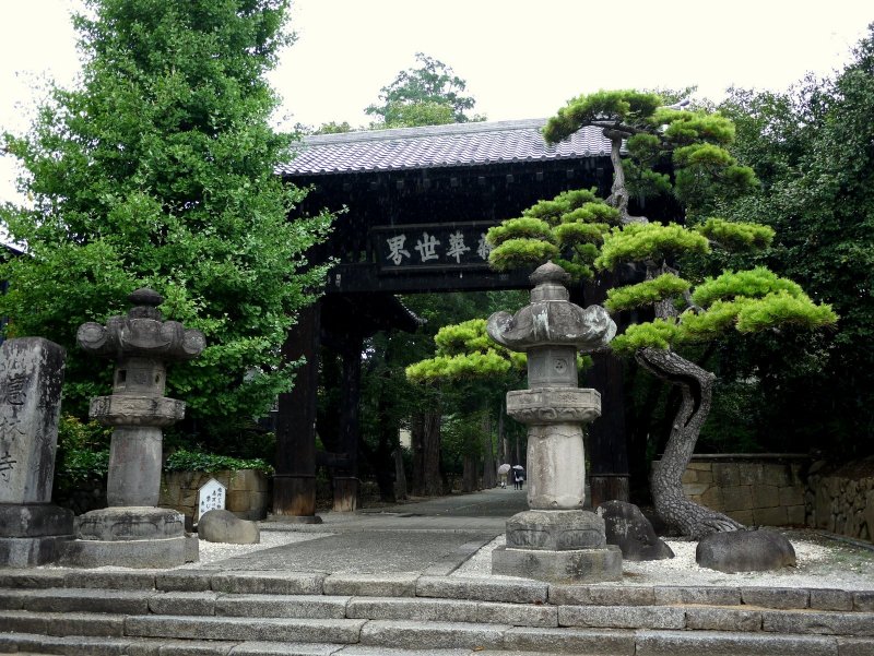 <p>Stone lanterns and a beautifully twisted pine stand before Erinji&#39;s gate</p>