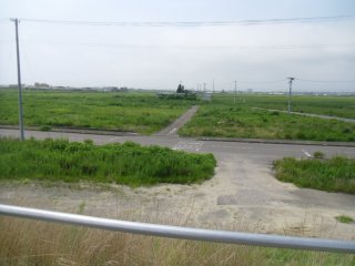 This is Yuriage over three years after the tsunami. It looks green and peaceful; there are insects and birds here. But once thousands of people lived here and everything was wiped away in minutes. In Natori, over 900 people lost their lives in the tsunami - around 750 of them were in Yuriage.