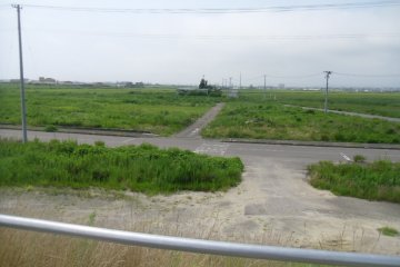 <p>This is Yuriage over three years after the tsunami. It looks green and peaceful; there are insects and birds here. But once thousands of people lived here and everything was wiped away in minutes. In Natori, over 900 people lost their lives in the tsunami - around 750 of them were in Yuriage.</p>