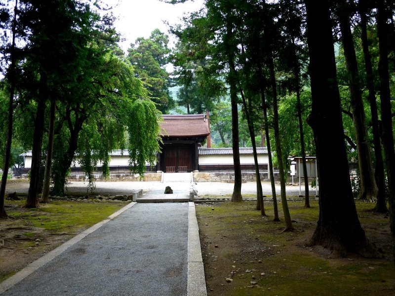 <p>The path from the entrance had many tall straight trees on either side.</p>