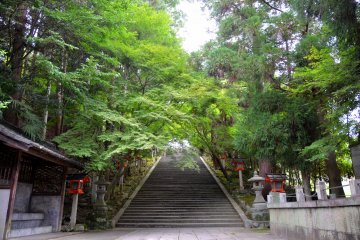 <p>Flight of steps that lead to the Horinji Temple.</p>