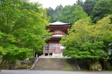 Dendengu Shrine & Horinji Temple