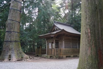 <p>ศาลเจ้า Takachiho ที่เงียบสงบกลางต้นไม้ใหญ่</p>