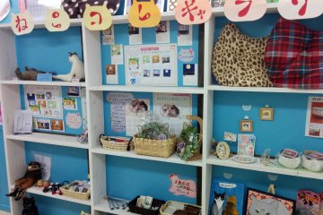<p>Various cat theme accessories for humans on sale at the front of the store</p>