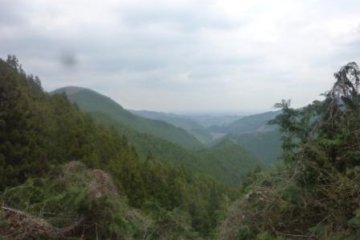 View along the trail from Takao to Jimba