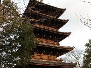 The tallest five-story pagoda​ in Japan