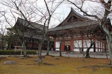 Kodo Hall can be seen beyond a grove of trees
