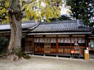 Shrine building under the trees