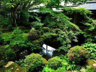 Shuheki-en Garden in front of the reception hall. How tranquil!