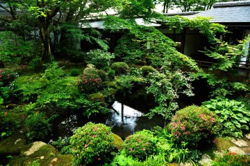 <p>Shuheki-en Garden in front of the reception hall. How tranquil!</p>
