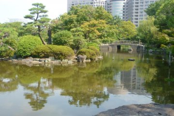 Pond in Tsurumai Park, Nagoya.
