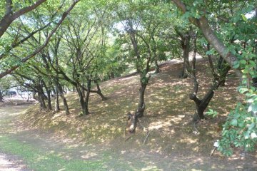 Hachiman Kofun tomb mound behind Tsurumai Park, Nagoya.