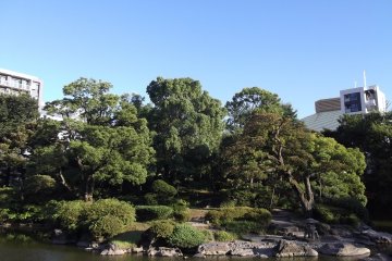 <p>Kyu-Yasuda&nbsp;garden, just round the corner from Ryogoku sumo arena</p>