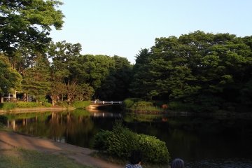 <p>Relaxing on the lawn of Kitanomaru Park</p>