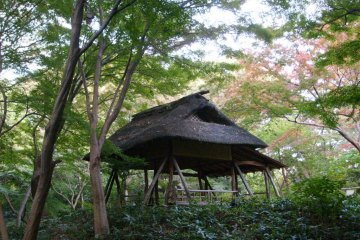 <p>A shelter in the less carefully tended part of Rikugi-en, near Komagome station</p>
