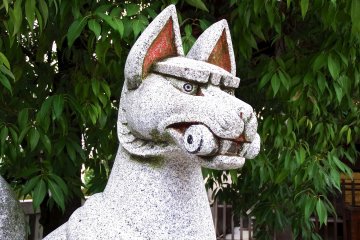 <p>Fox statue standing guard in front of the small shrine on the grounds</p>
