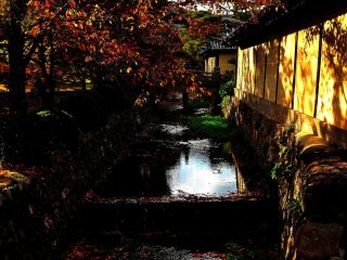 Arisugawa River flows around the temple. Photographers try hard to capture the shot of the river with the setting sun and fallen leaves in the stream