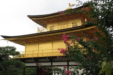 <p>The pavilion stands out against gray skies</p>